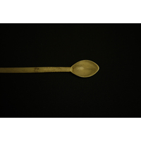 Snuff Spoon (view 3)
