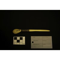 Snuff Spoon (view 2)