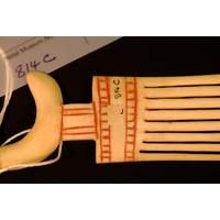Ornamental Comb (view 3)