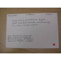 MAA catalogue card, Z 23338