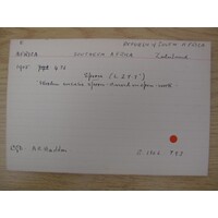 MAA catalogue card E 1905.476