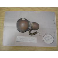 MAA catalogue card E 1905.485 (02)