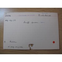 MAA catalogue card 1, E 1889.139