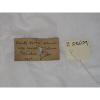 Rectangular paper labels