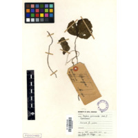 uGebeleweni (view 2)