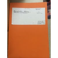 Shongwe (Ndzimisa, Ngcamphalala, Nhlabatsi), folders