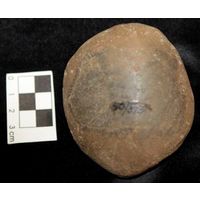 Component 1 (view 2)