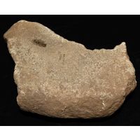 Component 2 (view 1)