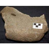 Component 2 (view 2)