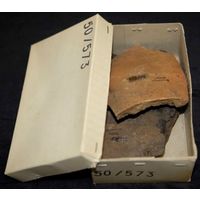 Component 3 (view 2)