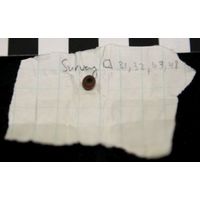 Component 1 (view 10)