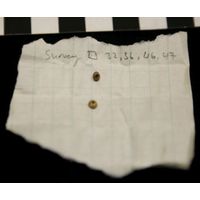 Component 1 (view 11)