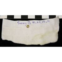 Component 1 (view 13)