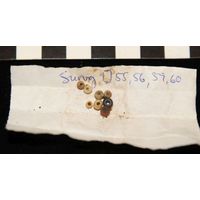 Component 1 (view 18)