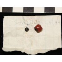 Component 1 (view 19)