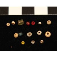 Component 1 (view 24)