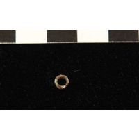 Component 1 (view 25)