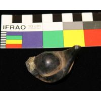 Component 2 (view 3)