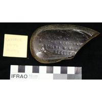 Component 2 (view 8)