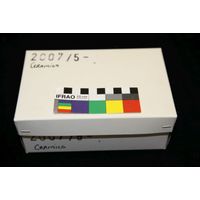 Component 4 (view 1)