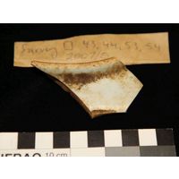 Component 4 (view 5)