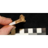 Component 4 (view 7)