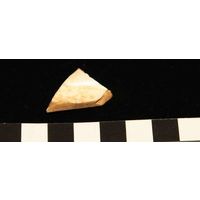 Component 4 (view 8)