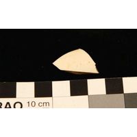 Component 4 (view 9)