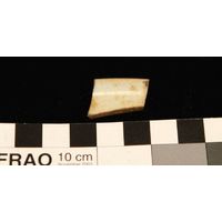 Component 4 (view 11)