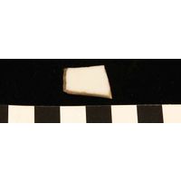 Component 4 (view 16)