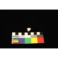 Component 4 (view 18)