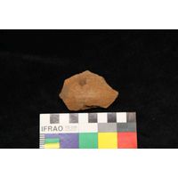 Component 4 (view 20)