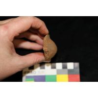 Component 4 (view 21)