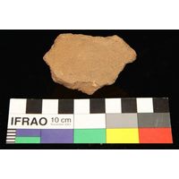 Component 4 (view 22)