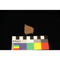 Component 4 (view 23)