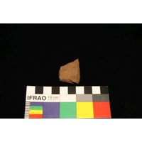 Component 4 (view 24)