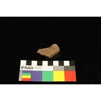 Component 4 (view 26)