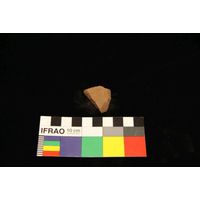 Component 4 (view 28)