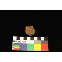 Component 4 (view 29)