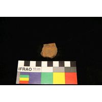 Component 4 (view 30)