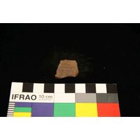 Component 4 (view 31)