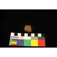 Component 4 (view 32)