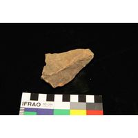 Component 4 (view 33)