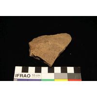 Component 4 (view 34)