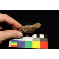 Component 4 (view 35)