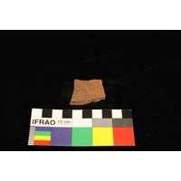 Component 4 (view 37)