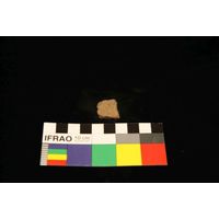 Component 4 (view 39)