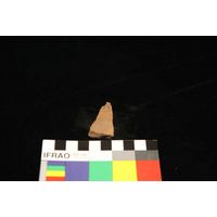 Component 4 (view 40)