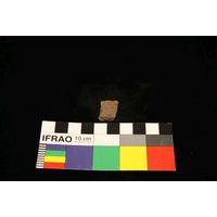 Component 4 (view 43)