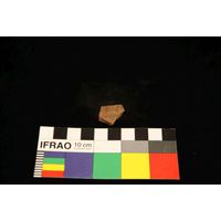 Component 4 (view 44)